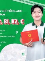 Banner-website 1