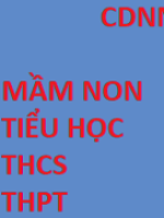 CDNN1