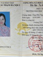 NVSP - THCS