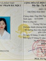 NVSP - TIEU HOC
